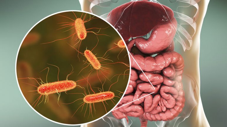 Βιομηχανικό χημικό μεταβάλλει το εντερικό μικροβίωμα