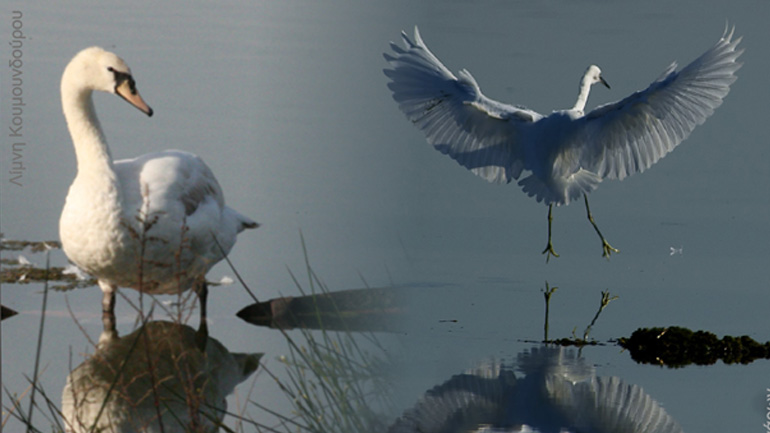 Κυριακή 2 Φεβρουαρίου 2020: Παγκόσμια Ημέρα Υγροτόπων