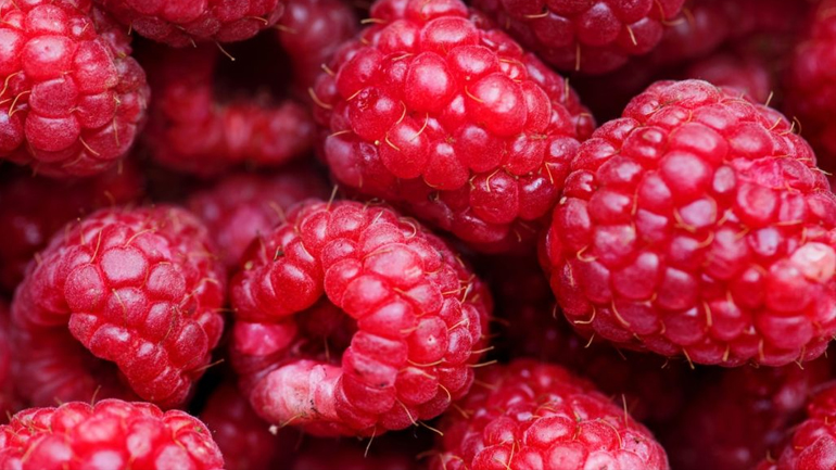 Τα κόκκινα σμέουρα βελτιώνουν τη λειτουργία των αγγείων