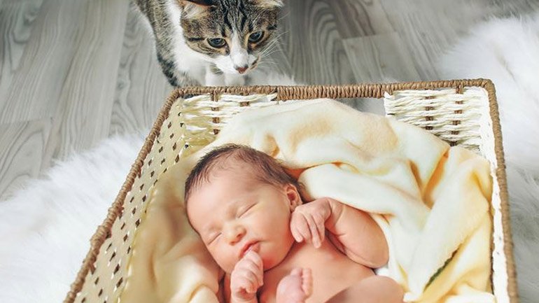 Προετοιμάστε το κατοικίδιό σας για τον ερχομό του μωρού σας