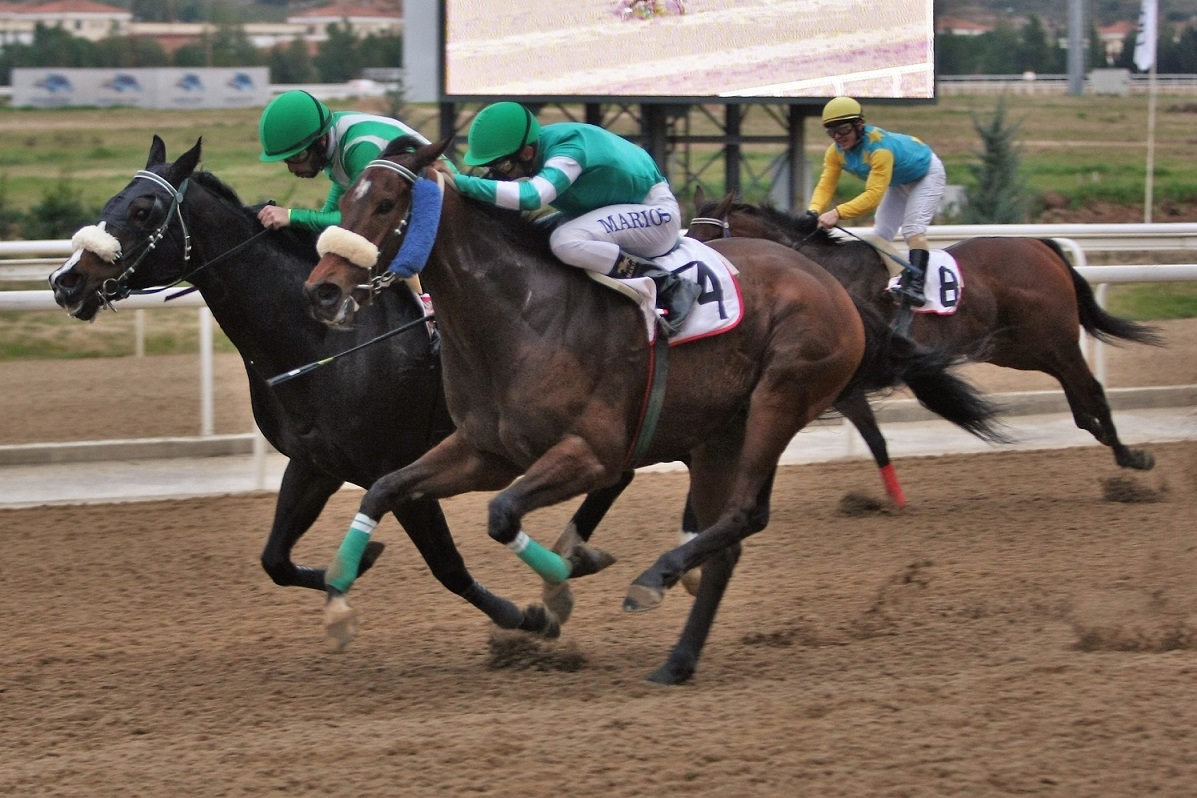Πλούσιο θέαμα και “κλειστές” αφίξεις κάθε Κυριακή στο Markopoulo Park