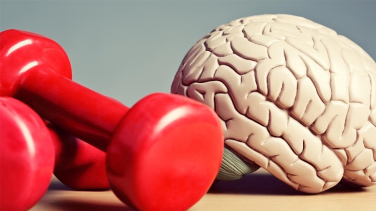 Η άσκηση επιβραδύνει τη συρρίκνωση του εγκεφάλου καθώς γερνάμε