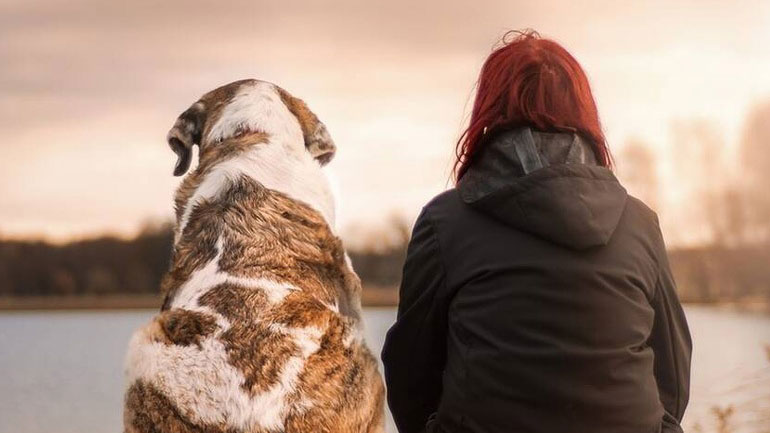 Συνολικά 5 πράγματα που δεν πρέπει να ξεχνάει ένας κηδεμόνας σκύλου