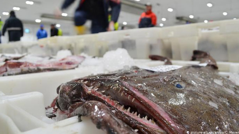 «Πόλεμος του μπακαλιάρου» απειλεί τη Βόρεια Θάλασσα