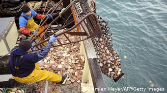 Μηχανότρατες ψαρεύουν χτένια στις δυτικές ακτές της Γαλλίας