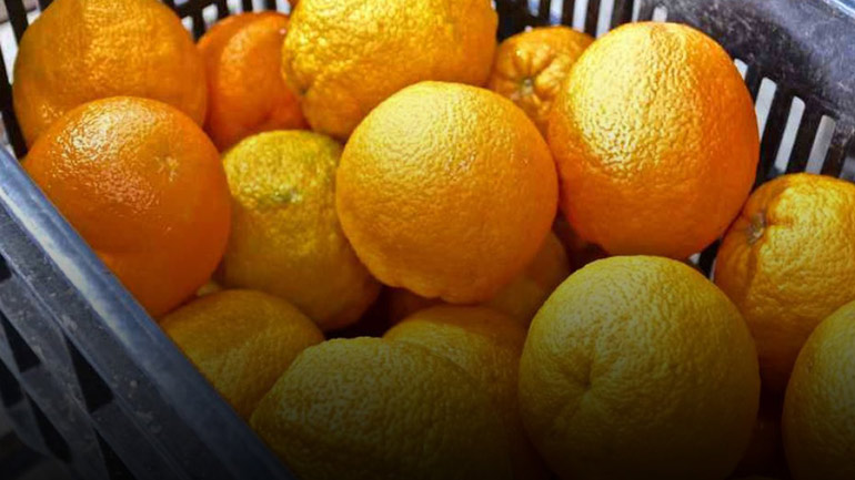 Ηράκλειο: Επέβαλαν πρόστιμο 1.500 ευρώ σε πλανόδιο πωλητή… πορτοκαλιών