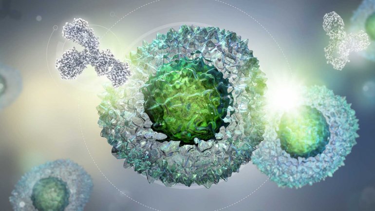 Πώς τα καρκινικά κύτταρα γίνονται αόρατα στο ανοσοποιητικό σύστημα