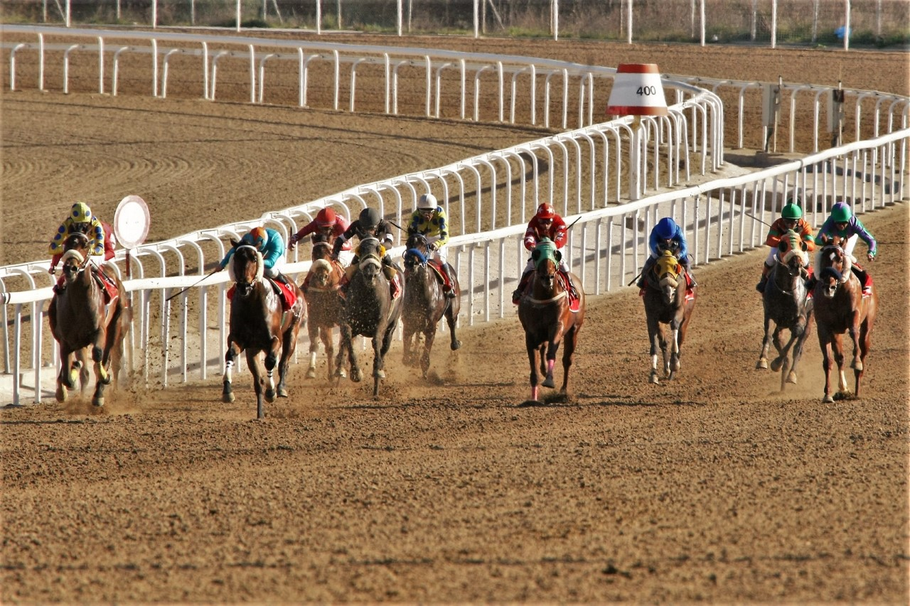 Στιγμιότυπο από τις ιπποδρομίες στο Markopoulo Park