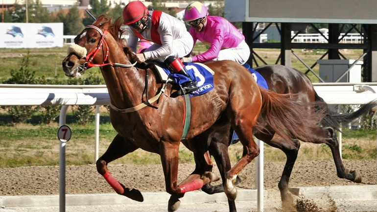 Markopoulo Park: Εννέα μεγάλοι νικητές στο τζακ ποτ του ΣΚΟΡ 6