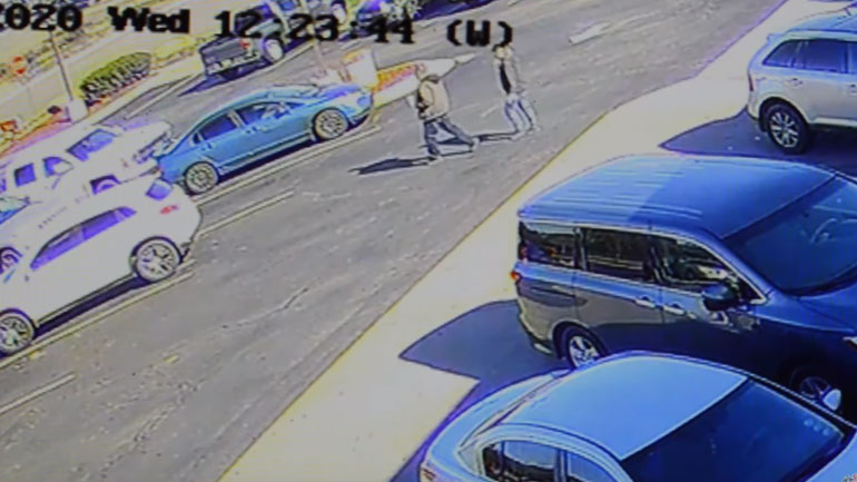 Μετωπική σύγκρουση ελαφιού με άνθρωπο