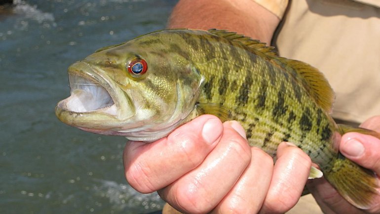 Τα υψηλά επίπεδα υδραργύρου στο αίμα αυξάνουν τον κίνδυνο καρκίνου του δέρματος