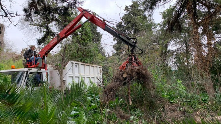 Εργασίες του Δήμου Αθηναίων στον Βοτανικό Κήπο του ΕΚΠΑ