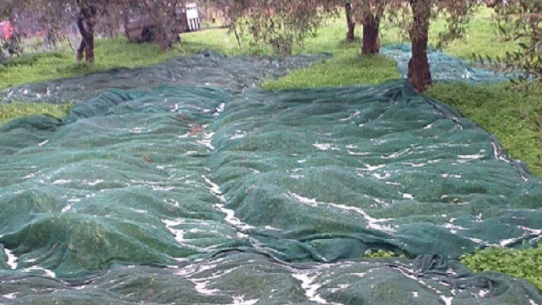 Χαλαζόπτωση στις Μοίρες Ηρακλείου