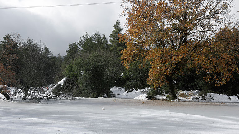 Κλειστό τμήμα της λεωφόρου Πάρνηθος λόγω κακοκαιρίας