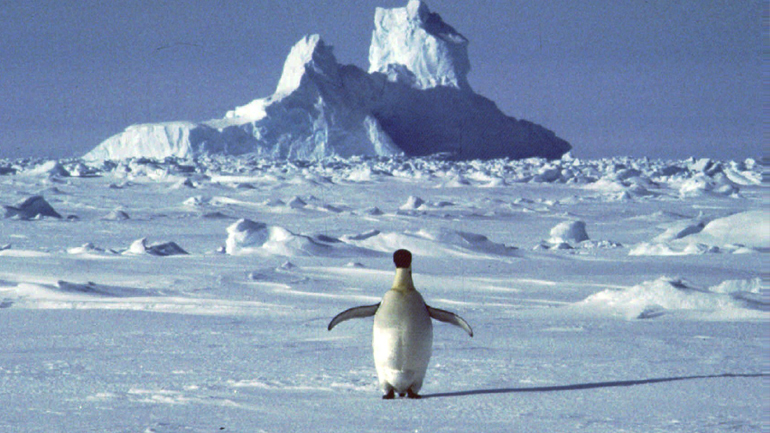 Η πιο ζεστή μέρα στην Ανταρκτική – Ρεκόρ με 18,3 βαθμούς Κελσίου