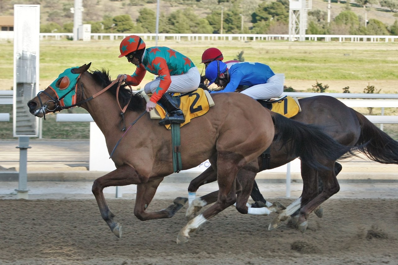  Κλειστές αφίξεις κι αυτή την Κυριακή στο Markopoulo Park