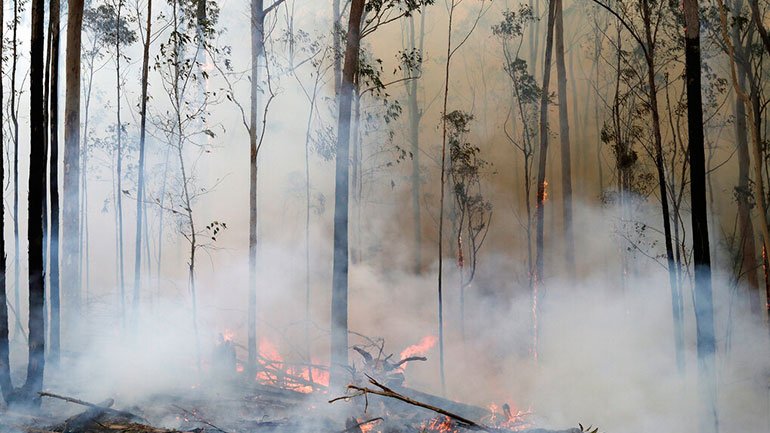 Νέα Νότια Ουαλία: Βροχοπτώσεις έσβησαν τις πυρκαγιές, αλλά προκάλεσαν προβλήματα