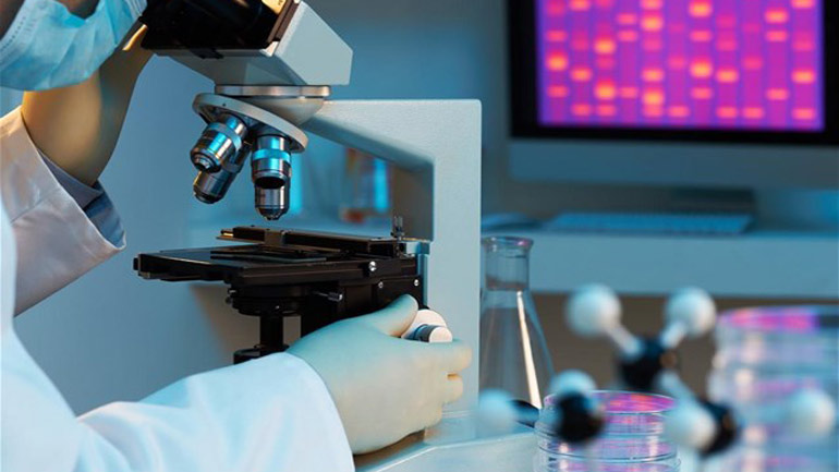 Διεθνοποιείται η επιστημονική έρευνα: Υπερδιπλασιάστηκαν οι δημοσιεύσεις με περισσότερους από 1.000 ερευνητές