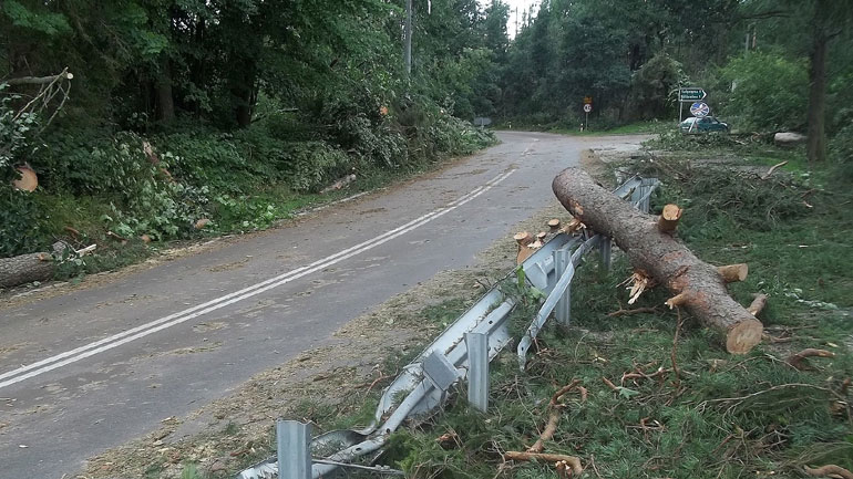 Εκτεταμένες καταστροφές στα δάση της Σλοβενίας από την κακοκαιρία
