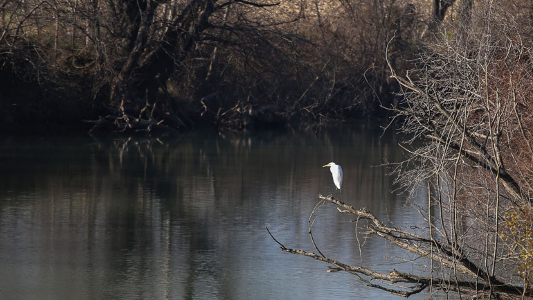 Νέο ευρωπαϊκό μοντέλο για τη διαχείριση των προστατευόμενων περιοχών της Ελλάδας