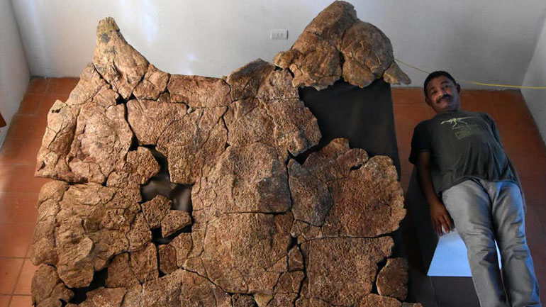 Ανακαλύφθηκαν απολιθώματα γιγάντιας χελώνας, που είχε μέγεθος… αυτοκινήτου