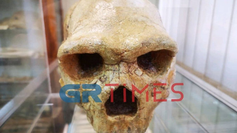 «Το πιο σπουδαίο εύρημα στην Ελλάδα»: Λύνεται σταδιακά το μυστήριο του Κρανίου των Πετραλώνων