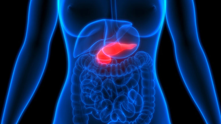 Υβριδικό τεχνητό πάγκρεας «σωτήριο» για την αντιμετώπιση του σακχαρώδη διαβήτη