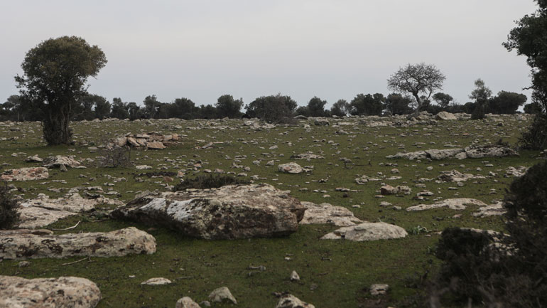 Μυτιλήνη: Συνεχίζεται ο αποκλεισμός της περιοχής Καράβα – Καβακλή Μανταμάδου από πολίτες