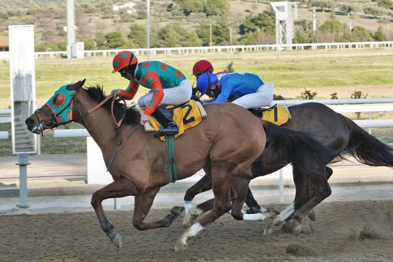 Κλειστές αφίξεις αναμένονται κι αυτή την Κυριακή στο Markopoulo Park