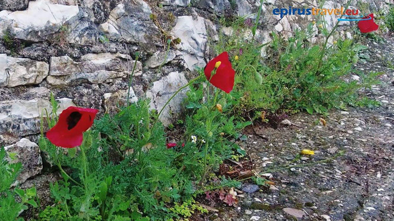 Η Ήπειρος, σαν πίνακας ζωγραφικής!