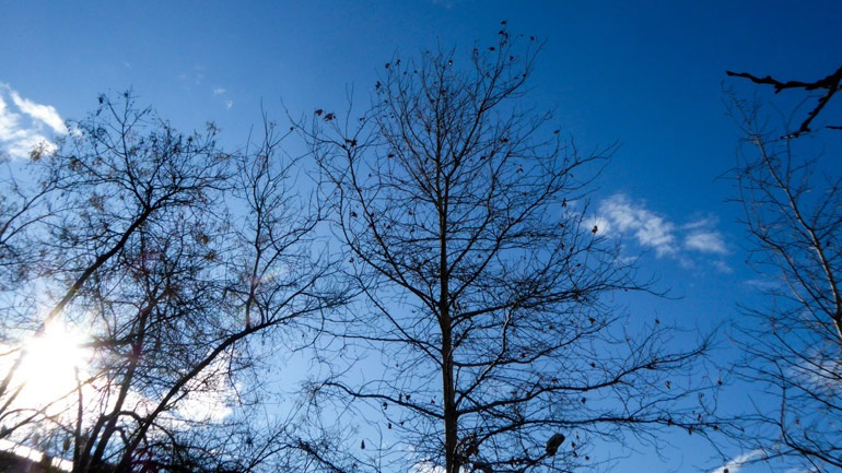 Ο καιρός σήμερα