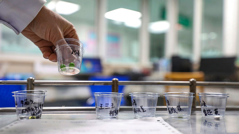 Σχεδόν 1.900 νεκροί από τον κορωνοϊό