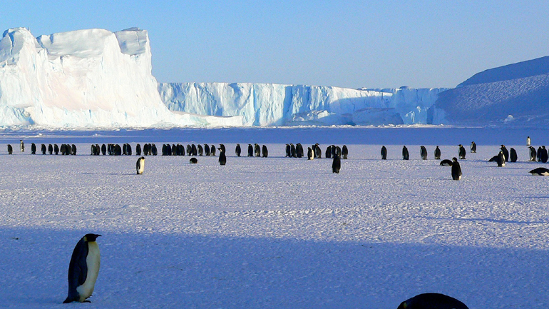 «Μη αναστρέψιμο» το λιώσιμο πάγων στην Ανταρκτική λένε οι επιστήμονες