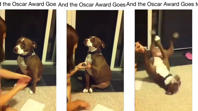 Όσκαρ καλύτερου ρόλου