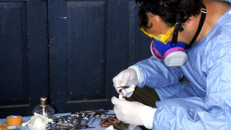 Νιγηρία: Τουλάχιστον 100 νεκροί από πυρετό Λάσα