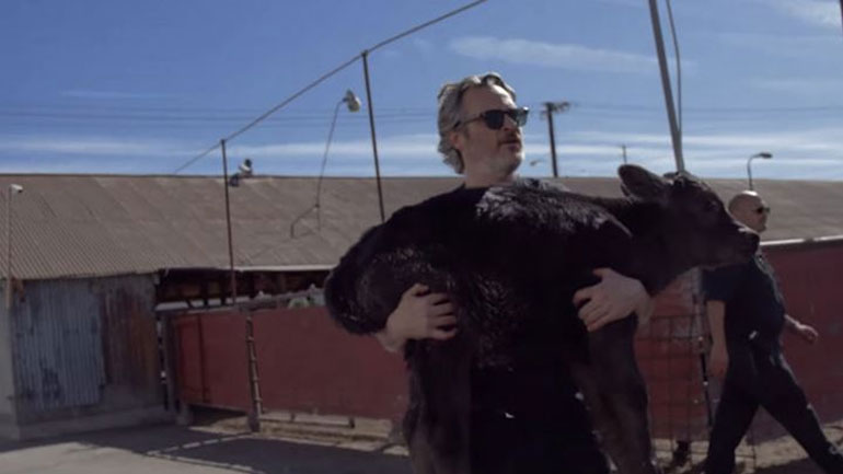 Ο Joaquin Phoenix σώζει αγελάδες και γίνεται viral Ο Joaquin Phoenix σώζει αγελάδες και γίνεται viral