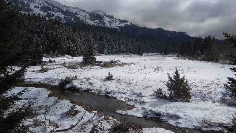 Χιόνι στα ορεινά των Τρικάλων