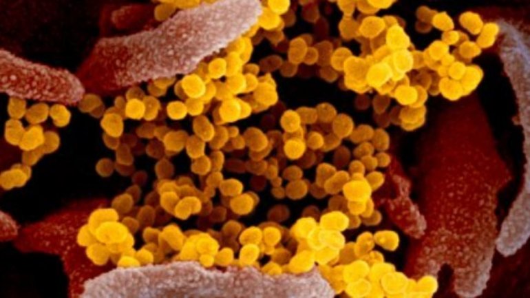 O κορωνοϊός μπορεί να μεταδοθεί και από άτομο που δεν έχει εκδηλώσει συμπτώματα