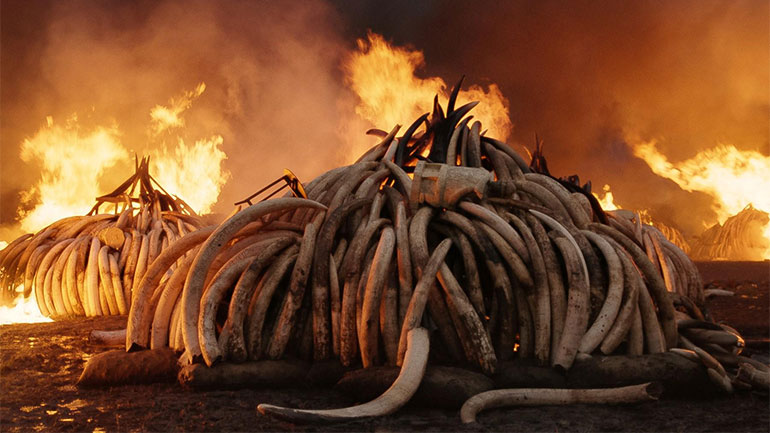 22ο Φεστιβάλ Ντοκιμαντέρ Θεσσαλονίκης: Αφιέρωμα Ανθρωπόκαινος – Ταινία έναρξης