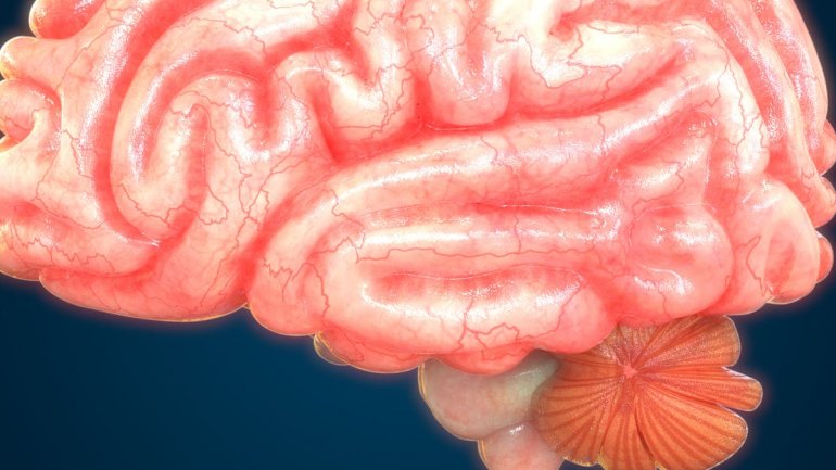 Η αδύναμη καρδιά βλάπτει τον εγκέφαλο