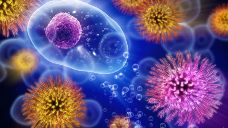 Πώς τα αυτοαντισώματα μπορούν να επηρεάσουν τον εγκέφαλο