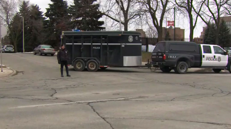 Πυροβολισμοί με τραυματίες σε ζυθοποιείο στο Μιλγουόκι – Αναφορές για νεκρούς