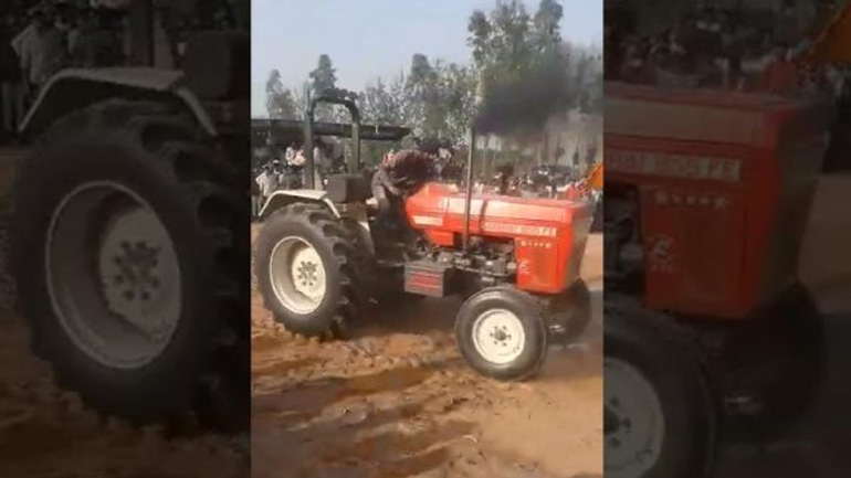 Σούζα ο αγρότης