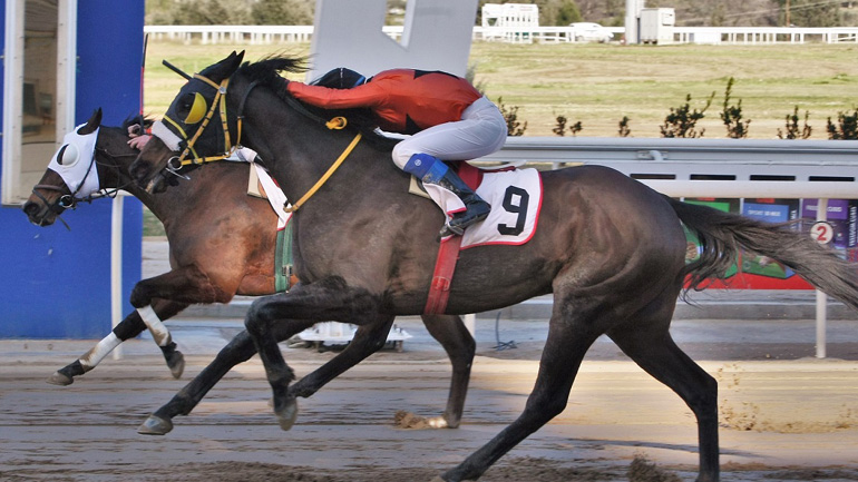 Εννέα κούρσες και τέσσερα ΣΚΟΡ στην πρώτη ιπποδρομιακή συγκέντρωση του Μαρτίου