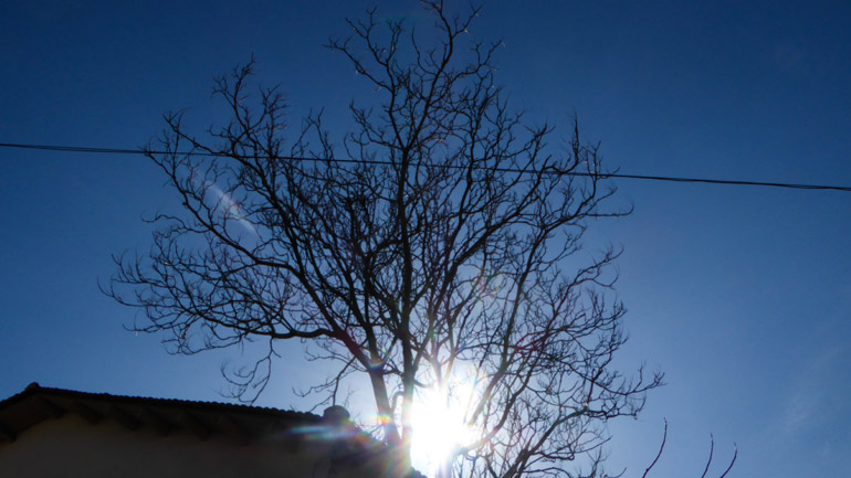 Ο καιρός σήμερα