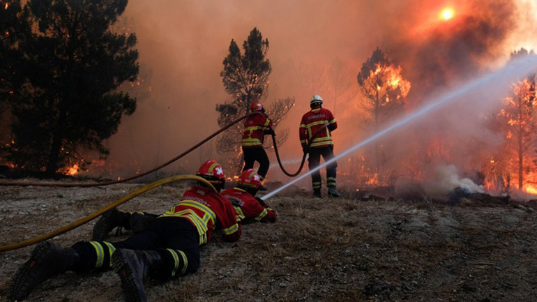 Πόσο ασφαλείς μπορεί να είμαστε έναντι του κινδύνου των δασικών πυρκαγιών;