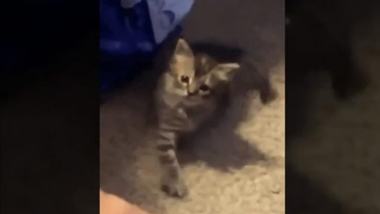 Έλα εδώ! Όχι, εσύ έλα!