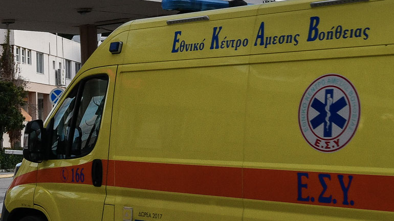 Θεσσαλονίκη: Επίθεση από αδέσποτα σκυλιά δέχθηκαν δύο άνδρες- Σε σοβαρή κατάσταση ο ένας