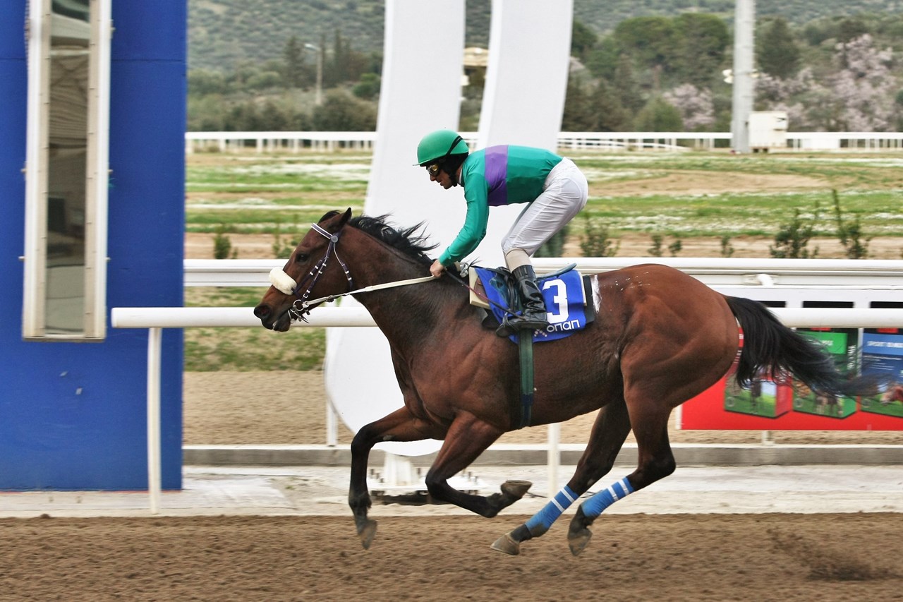 Ο νικητής του Τροπαίου Ημέρας της Γυναίκας, ΑΜΠΟΥ ΡΑΧΙ