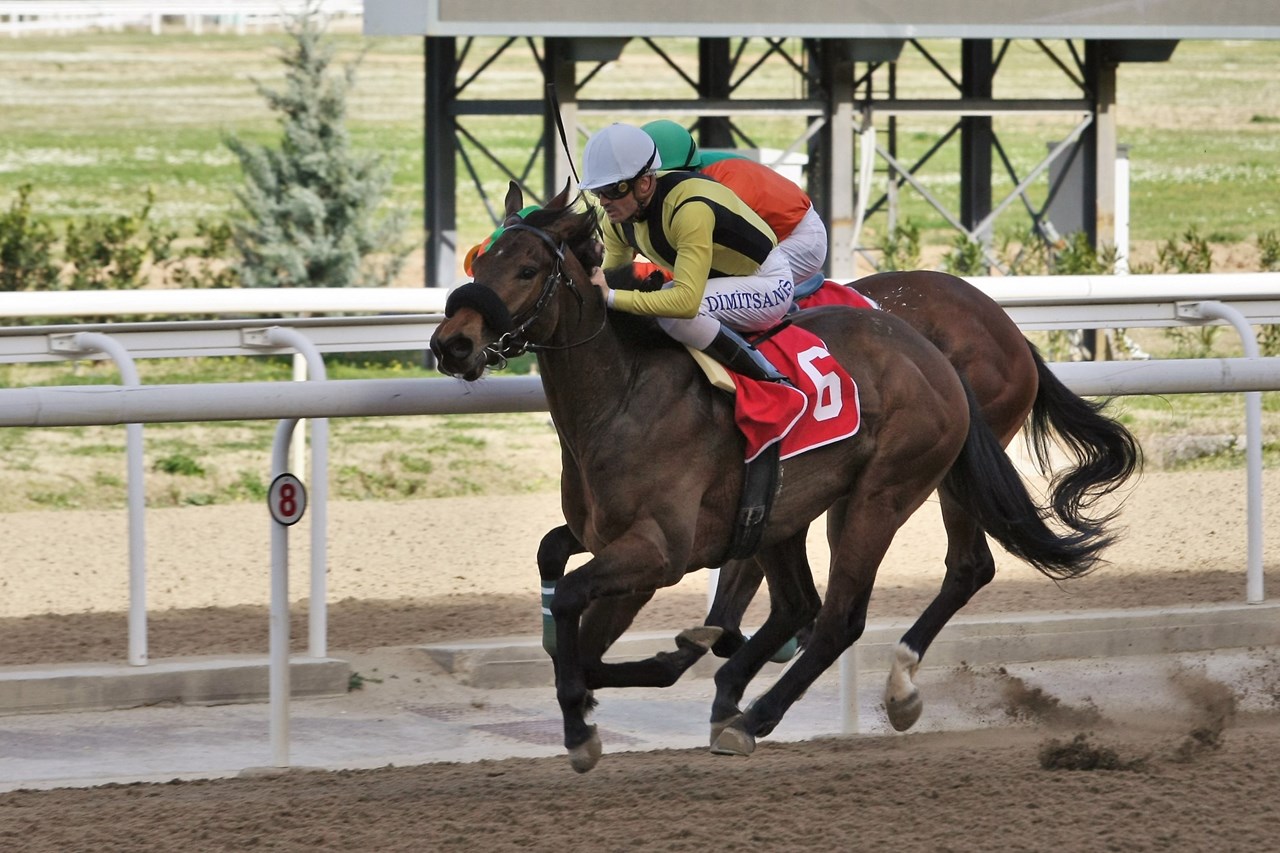 Αμφίρροπες κούρσες στο Markopoulo Park